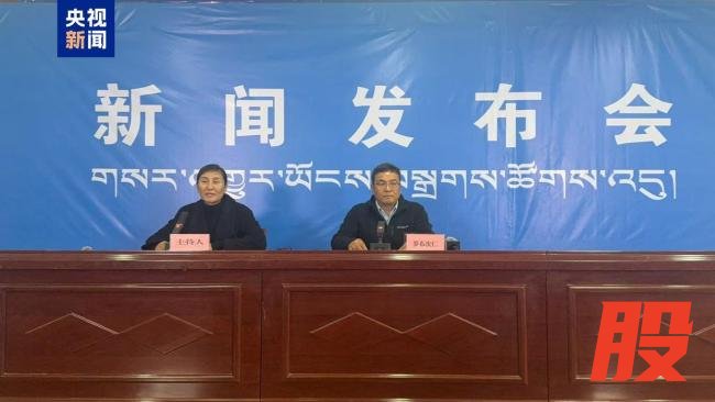 西藏吉隆泥石流成功救出2人